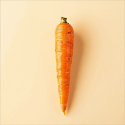 Carrot